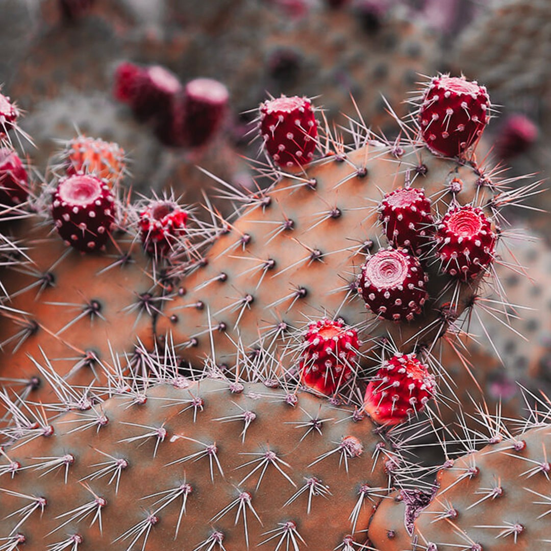 loyaparis__1691834512_3167659886744060060_45286378189