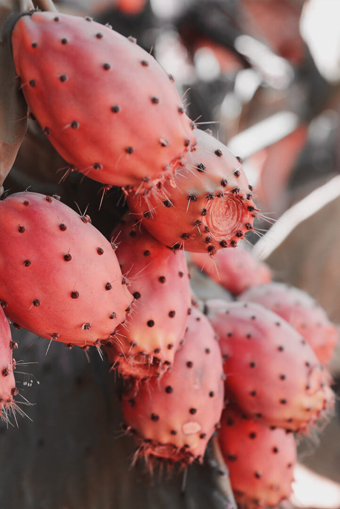 produits-naturels-685x1024